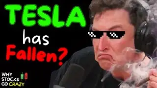 wtf is TSLA doing???