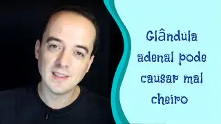 Gl&acirc;ndula anal do cachorro pode causar mal cheiro?