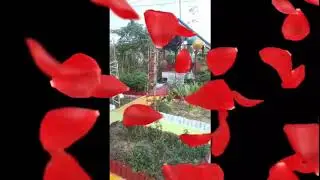 Toga Sehat bersama alam, Puskesmas Pematang kabau