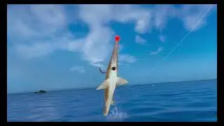 Real VR Fishing - Christmas Fish - Red Nose Shark