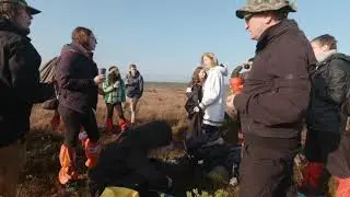 Hiking in bog (K&otilde;nnu Suursoo, Estonia)
