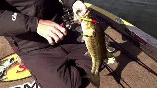 Electronics for fishing shallow and how you can find where bass live