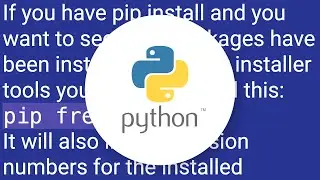 How to list all installed packages and their versions in Python?