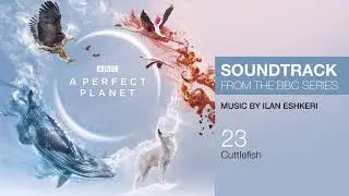A Perfect Planet - Cuttlefish (Soundtrack from the BBC Series)