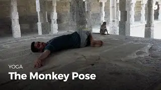 Learn the Monkey Pose - Markatasana | Yoga