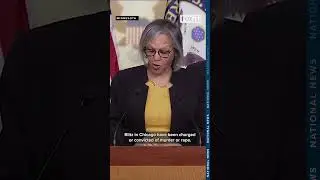 Rep. Robin Kelly announces over 70 House Democrats back Noem's impeachment due to 'reign of terror'