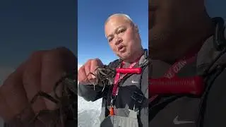 Catching Crawfish Through The Ice: 11 Mile Reservoir: Lake George, Colorado: #fishing #nature #life