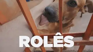 Rolês