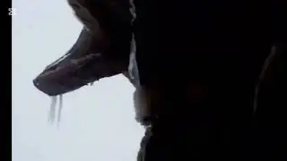المناظر الجميلة التي لم نراها منذ سينين أجمل ما في ثلوج الأطلس هو المناظر الطبيعية 