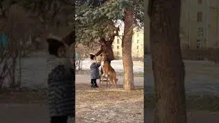 процесс во время фотосессии