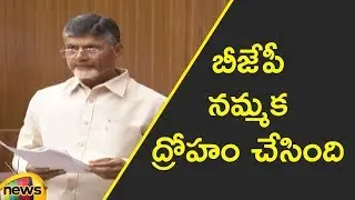 Chandrababu Naidu Speech about TDP Manifesto | AP Monsoon Session 2018 | Mango News Telugu