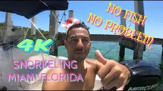 SNORKELING IN BISCAYNE NATIONAL PARK ELLIOT KEY 4K Part 2