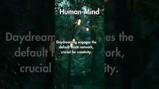 Freaky Brain Facts That'll Blow Your Mind #4k