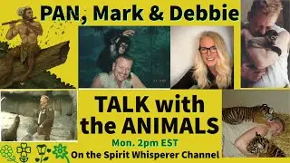 Join Mark & Pan with Debbie (Freebird Spirit) Monday 8/25/25 at 2:00 pm EST. for Animal  Readings!