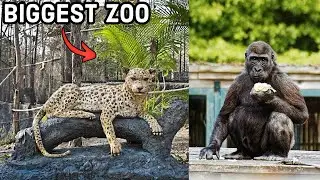 Asia&rsquo;s BIGGEST ZOO Tour In 5 MINUTES !!