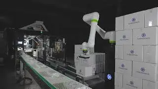 Andropack Cobot Palletizer & Robotic Case Packer