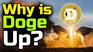 Why is Doge Going up, When do I sell