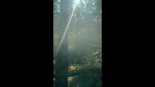 Wilderness Cove Campground | Saluda, North Carolina