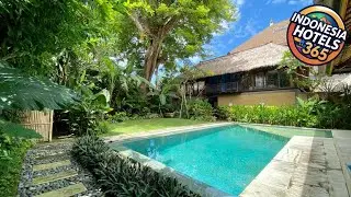 Little Tree House | Bali, Indonesia | Hotel Review 🌟