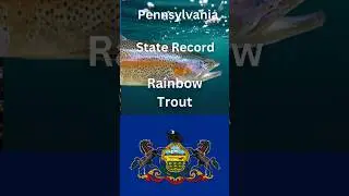 How big is the Pennsylvania state Record Rainbow Trout?