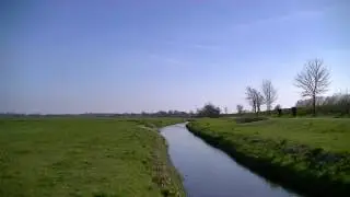 Wandering - Anne van Schothorst (harp & violone)