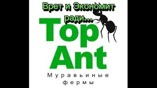 Муравьиная ферма от компании 