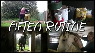 Aften Rutine 2017