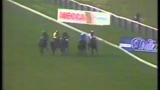 1986 Tattersalls Cheveley Park Stakes