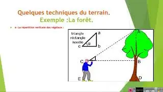 Techniques en écologie