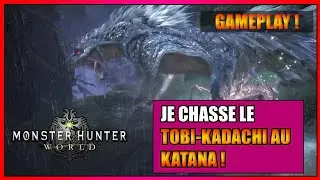 GAMEPLAY - JE CHASSE LE TOBI KADACHI SUR MONSTER HUNTER WORLD - FR