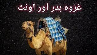 Islamic information|islamic terms|islamic gk|islamic videos|general knowledge#islamic#gk#info#fact#p