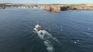FAIRNIES LH142 coming into Eyemouth harbour