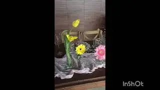 Eventos Los &Aacute;ngeles  Bautizo de Amanda 310525