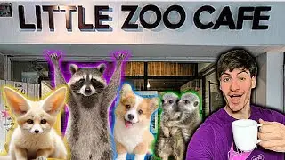 Exotic Animal Cafe