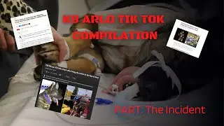 K9 Arlo Compilation Video Part: The Incident