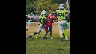 Walker County Wolverines 12U