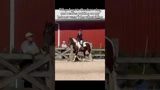 I hate hairnets sm #animal #horse #relatable #equestrian #pony #relatable #funny #animals #horses