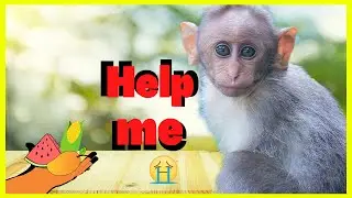 Amazing.! Animal Saves || helping animals in need || good people helping animals ||lockdown stories