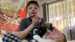 The Cat - Gaspar Campos (3ro B&aacute;sico B)