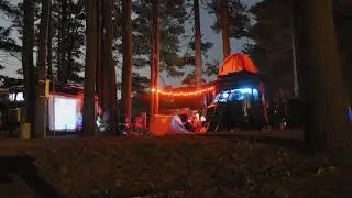 DreamBusNY - Movie into the woods