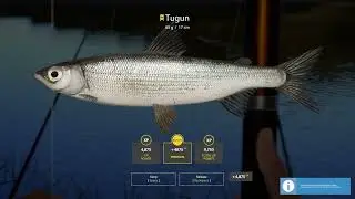 Russian Fishing 4 - Tugun Trophy  65g - Lower Tunguska River