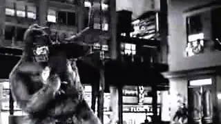 LeBelgeElectrod - The anger of the bonobo violent (Dubstep) .flv