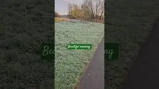 #youtubeshort #explortheworld #subscribemychannel #nature #like #comment #exploremypage #wintercool