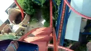 Luisa Jaramillo- Sheikra ride, Roller Coaster, Bush Gardes, Tampa fl