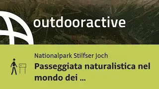 thematic trail in Trentino: Passeggiata naturalistica nel mondo dei picchi