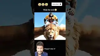 लड़की से डर गया बंदर #funny #comedy #memes #entertainment #monkeyvlog #monkey