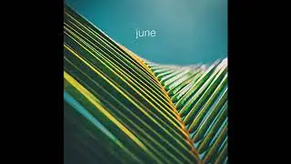The Foreign Exchange - June