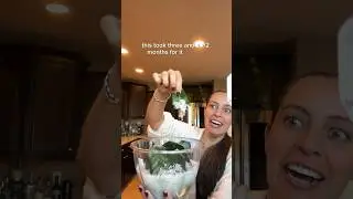 7 months of snake plant propagation growth and tips #plantcare #snakeplant #propagation gation