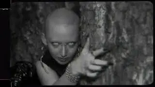 Croot - Ihamalkia
