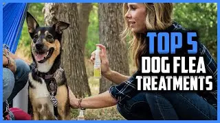 ✅Top 5 Best Dog Flea Treatments